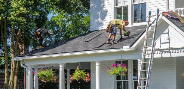 Best 4 Ply Roofing  in Nicholls, GA